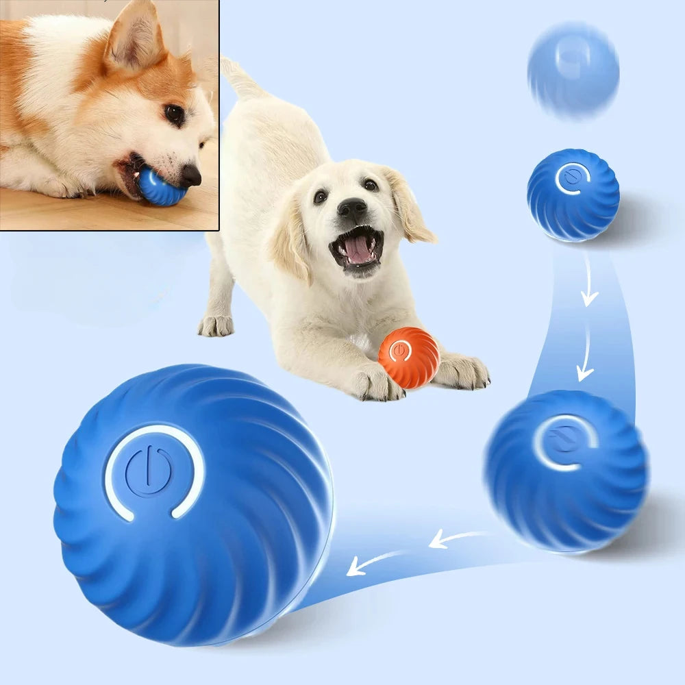 Automatic Moving Dog Ball