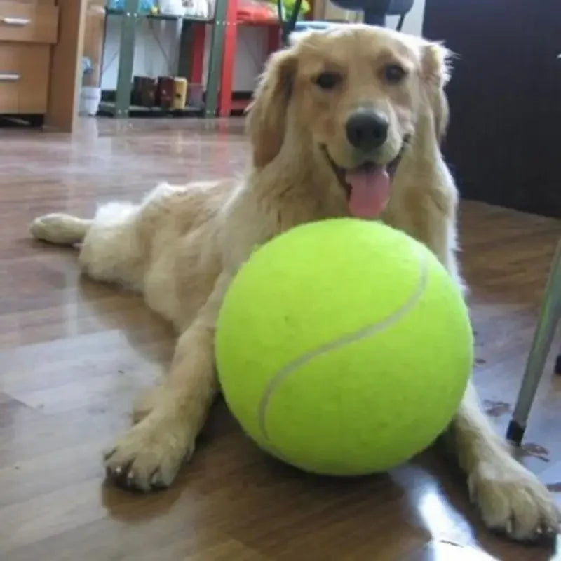 Large Dog Tennis Ball