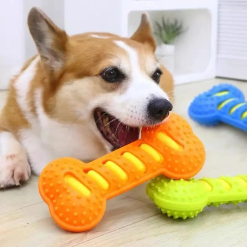 Rubber Dog Bone