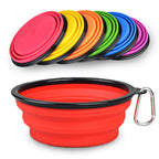 Foldable Dog Bowl