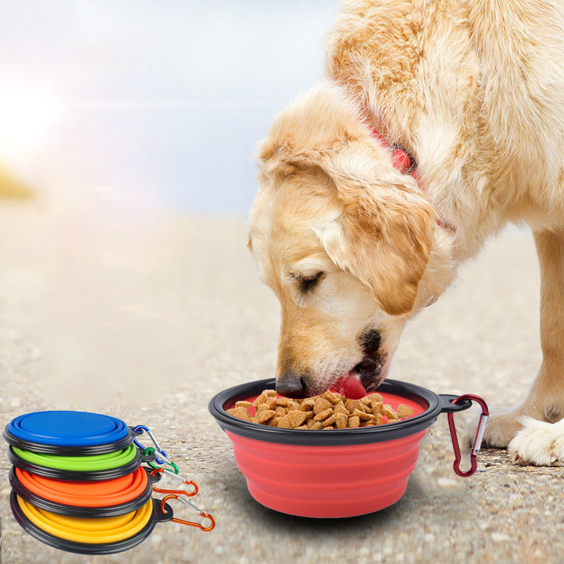 Foldable Dog Bowl