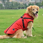 Warm Padded Dog Vest with Harness