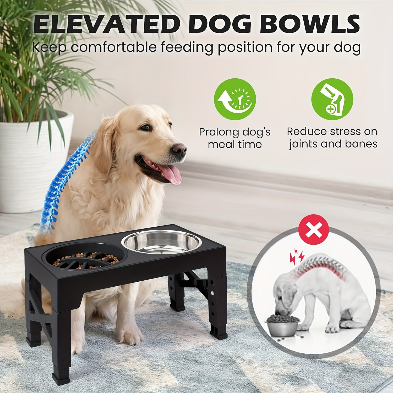 Raised Dog Food Bowls