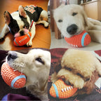 Squeaky Dog Balls