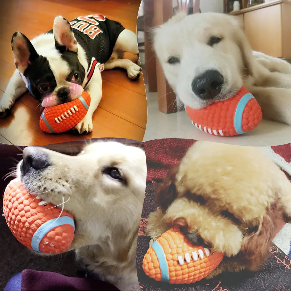 Squeaky Dog Balls