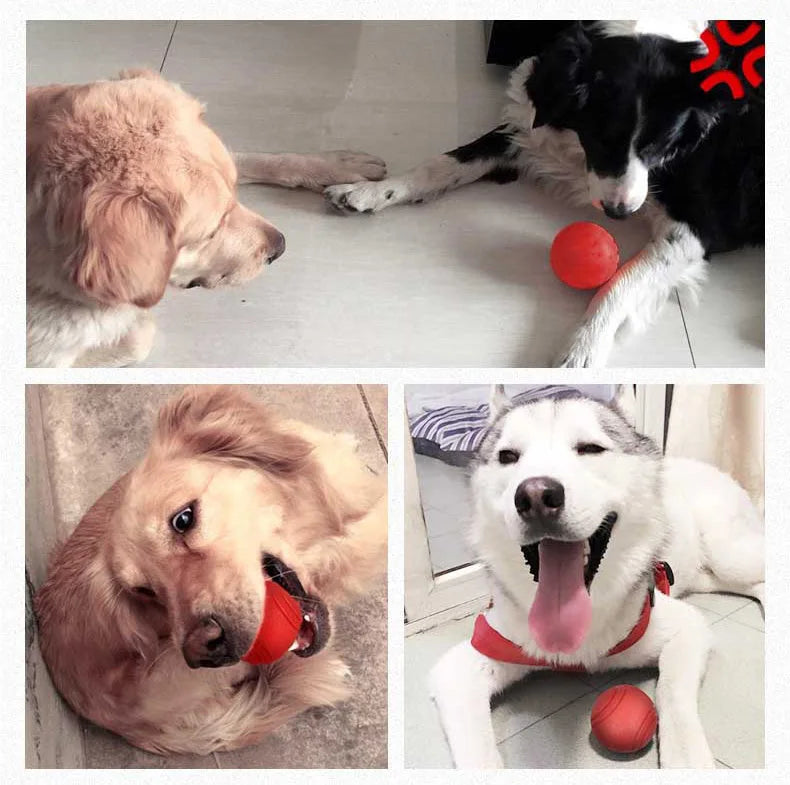 Solid Rubber Bite-resistant Dog Ball