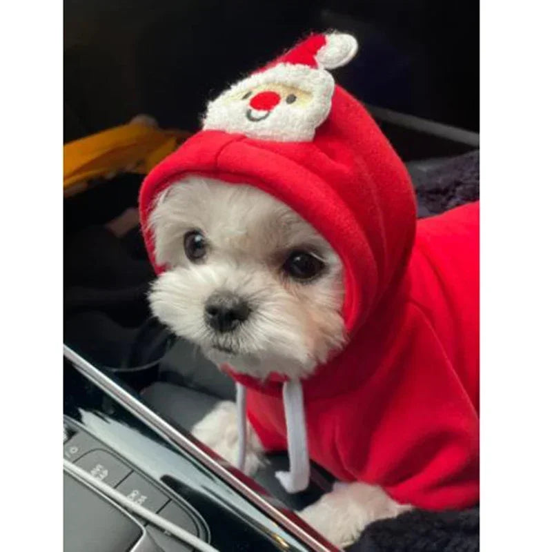 Dog Christmas Hoodie