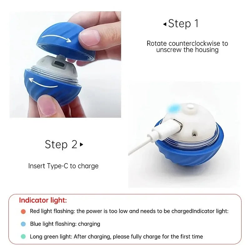 Automatic Moving Dog Ball