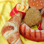 Plush Dog Squeaky Toy
