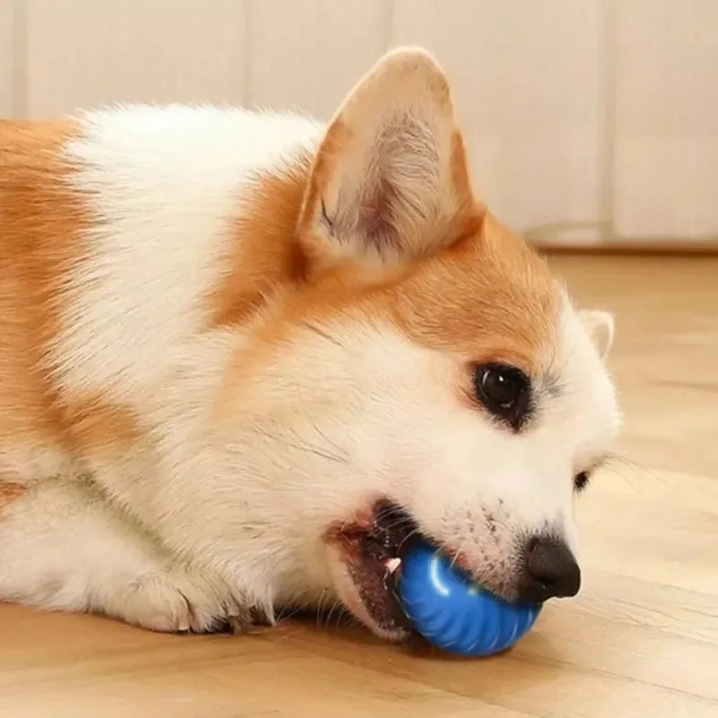 Automatic Moving Dog Ball