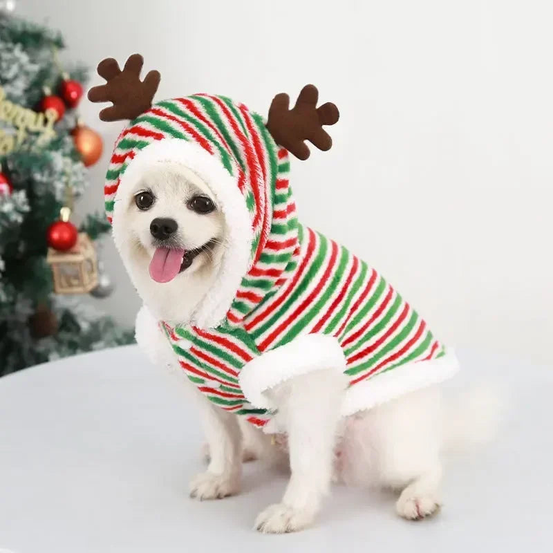 Dog Christmas Hoodie