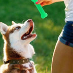 Dog Chew Bone