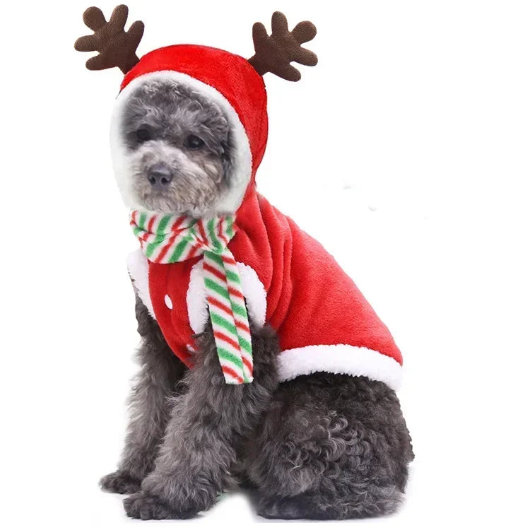 Dog Christmas Hoodie