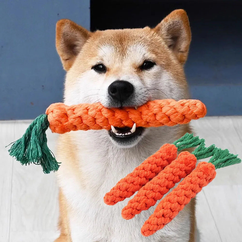 Carrot Dog Rope Toy