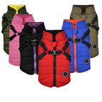 Warm Padded Dog Vest with Harness