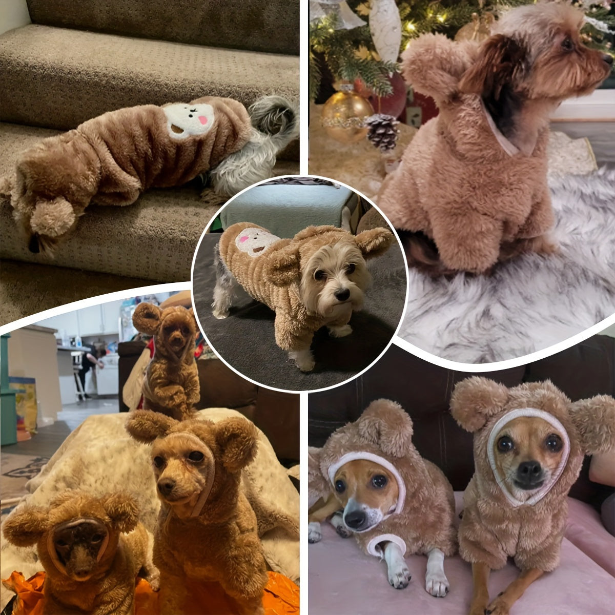 Dog Hoodie - Teddy Bear Costume