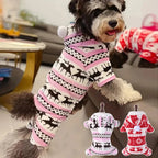 Dog wearing christmas outfit