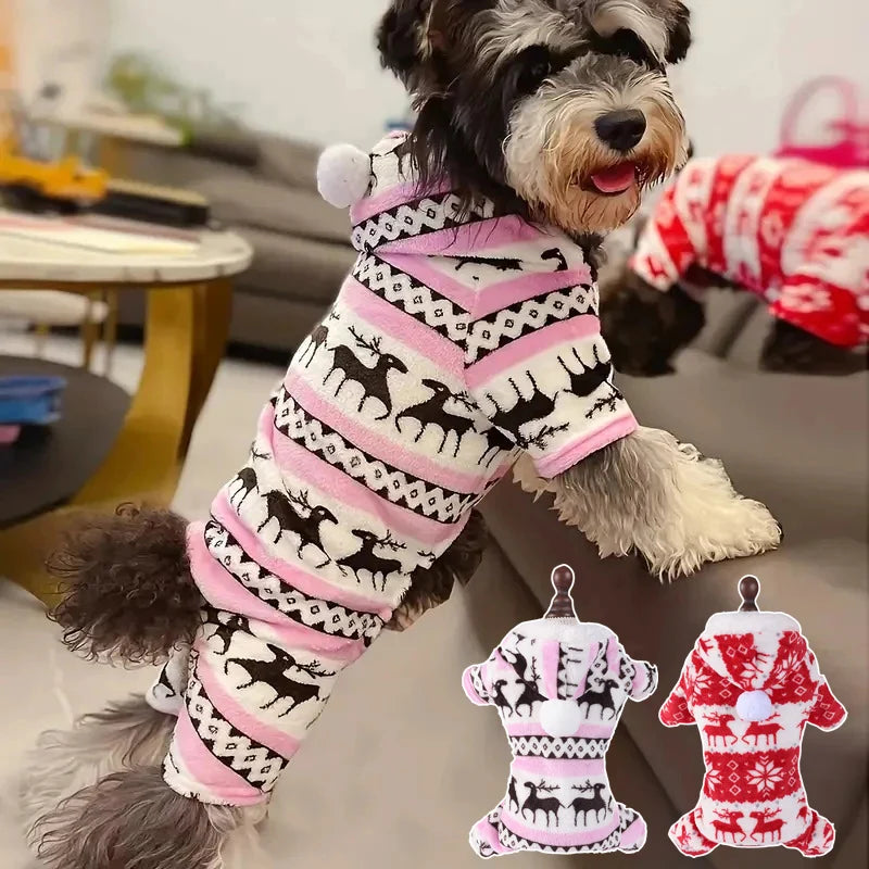 Dog wearing christmas outfit