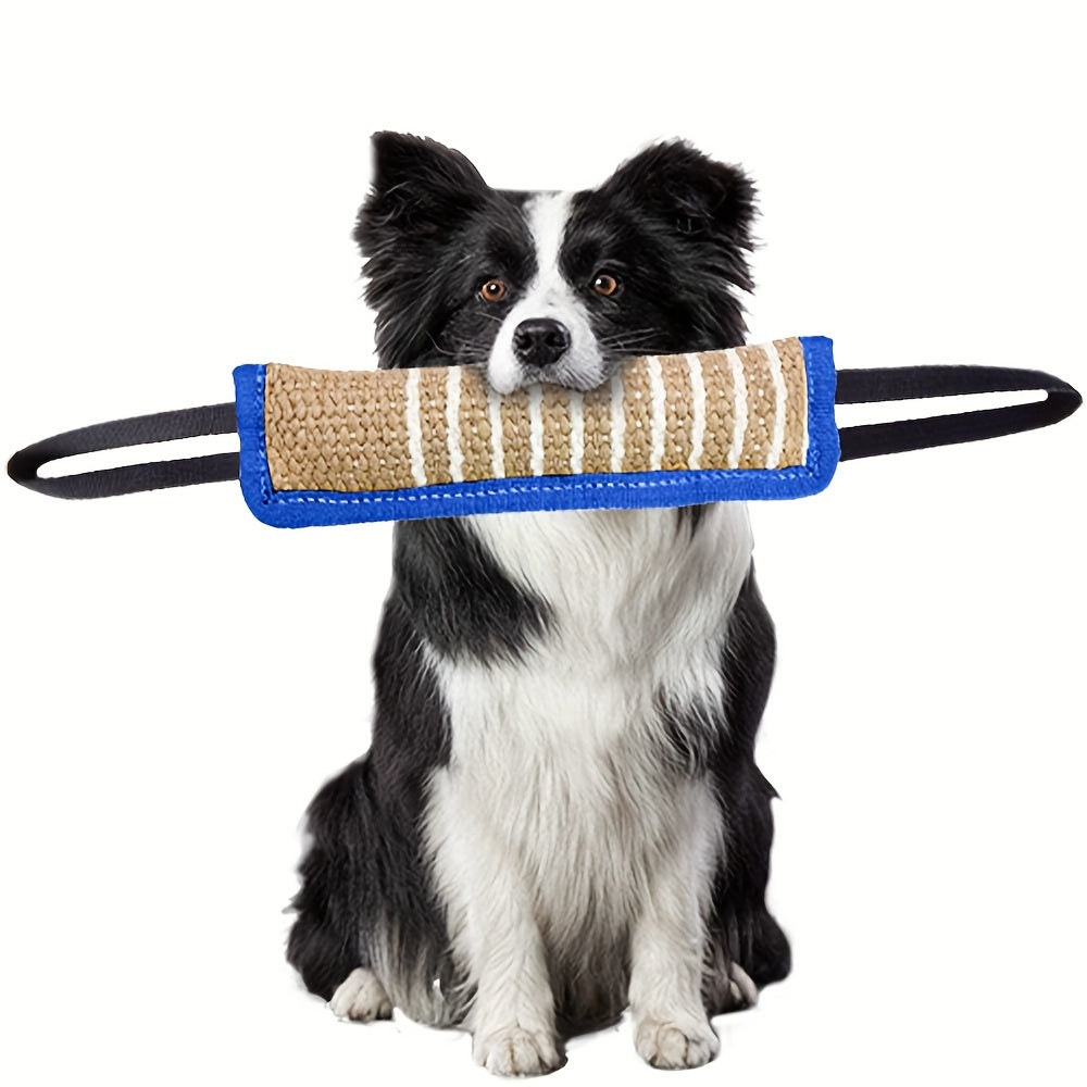 Dog holding a striped dog toy in its mouth on a white background