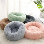 Four plush donut-shaped pet beds in different colors on a light surface.