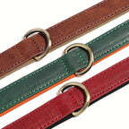Luxurious Leather Dog Collar