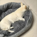 White dog sleeping on a gray pet bed indoors.