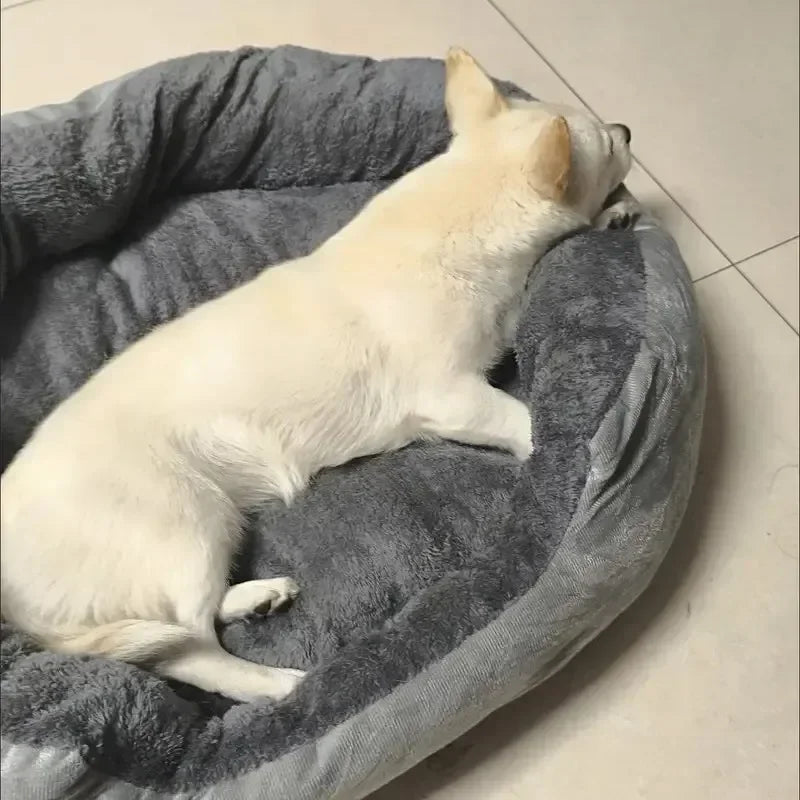 White dog sleeping on a gray pet bed indoors.