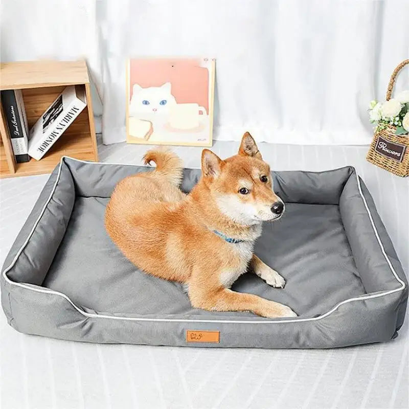 Dog lying on a grey pet bed with a white background
