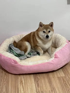 Dog sitting on a pink and beige pet bed with a white wall in the background
