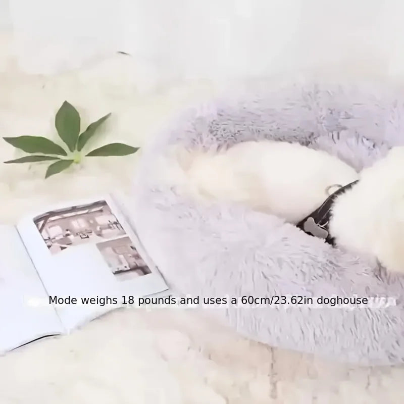 Dog bed with a plant, photo album, and text about weight and size.