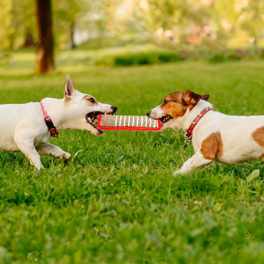 Two dogs playing with a chew toy on a grassy field